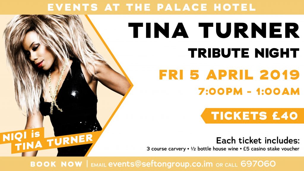 Tribute nights Tina Turner